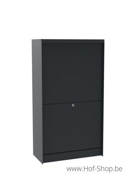 Dropbox Medium Back Door RAL 7016 - eSafe pakketbus aluminium