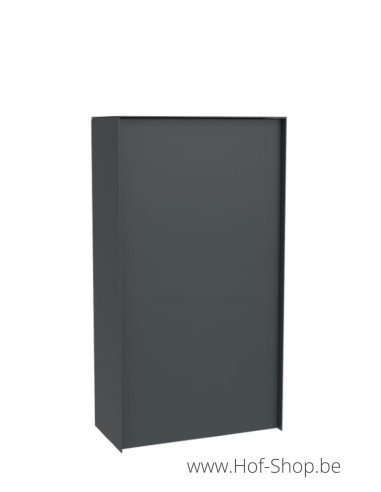 Dropbox Medium Back Door RAL 7016 - eSafe pakketbus aluminium