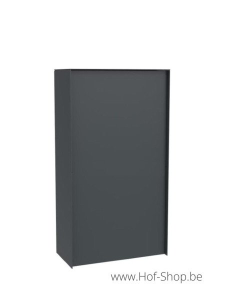 Dropbox Medium Back Door RAL 7016 - eSafe pakketbus aluminium
