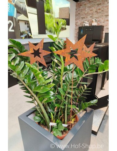 Tuinsteker ster - metalen figuur in ecoroest