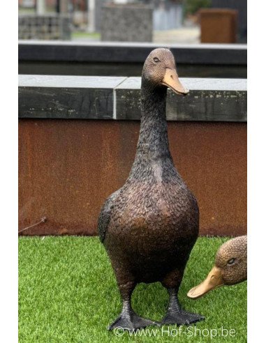 Canard debout  - statue en bronze (GA1267BR-B)