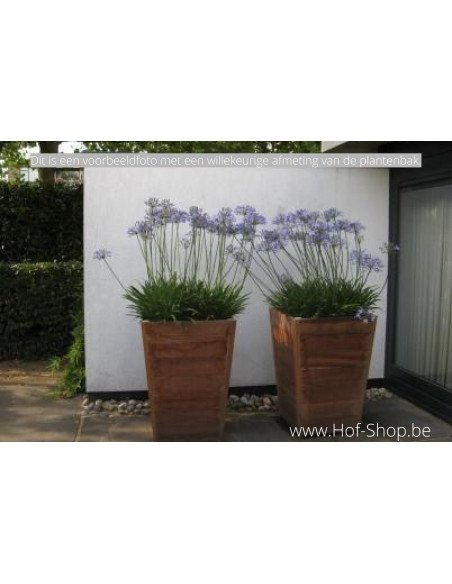 Tap 70 x 70 x 99 cm - Jardinière Adezz en bois dur