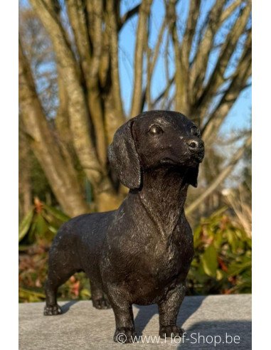 Teckel - statue en bronze (BS1387B)