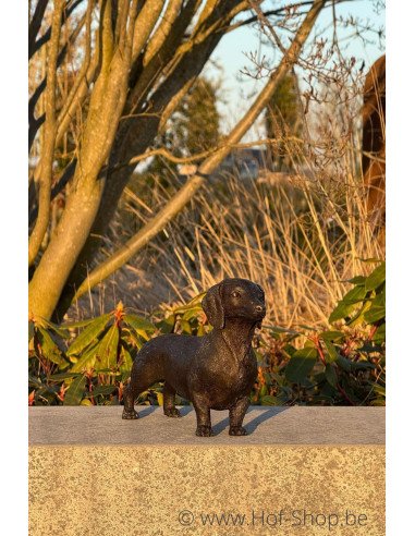 Teckel - statue en bronze (BS1387B)