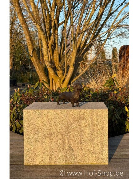 Teckel - statue en bronze (BS1387B)