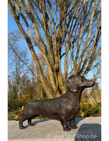 Teckel - bronzen beeld (BS1387B)