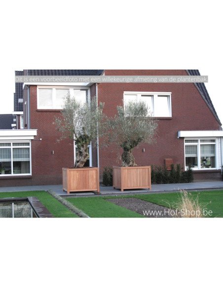 Valencia 80 x 80 x 80 cm - Jardinière Adezz en bois dur