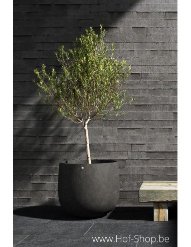Mondo Brown Stone - Jardinière Cosapots en polyester
