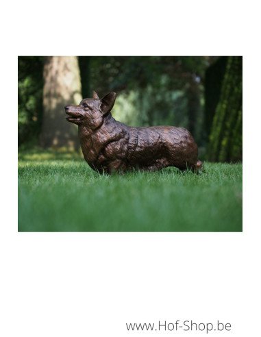 Corgi - bronzen beeld (B58832)