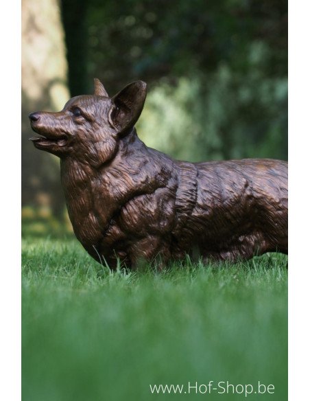 Corgi - bronzen beeld (B58832)