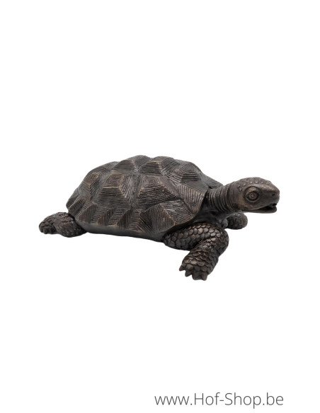 Tortue - statue en bronze (BS1158B)