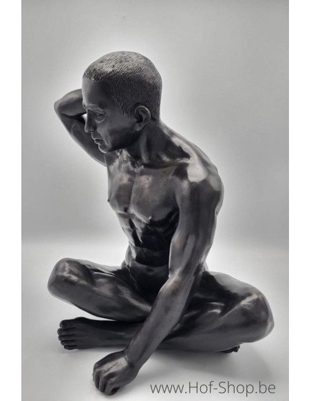 Homme assis nue - statue en bronze (BS1480B)