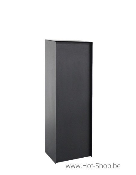Parcelbox L RAL 9005 - eSafe pakketbus plaatstaal