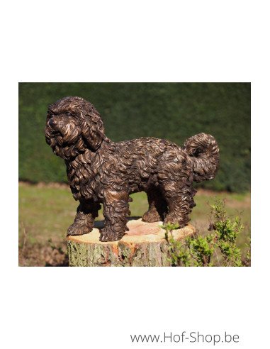 Labradoodle Puppy - statue en bronze (B58454)