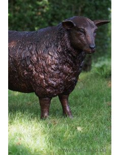Schaap Ooi - bronzen beeld (B73015)
