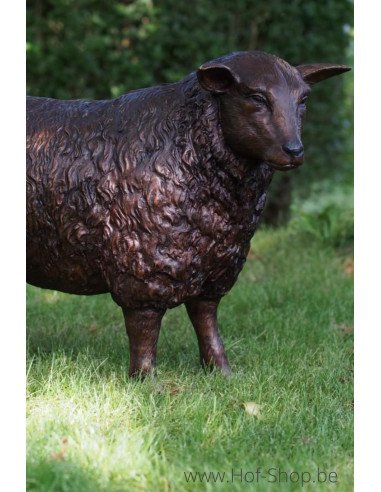 Schaap Ooi - bronzen beeld (B73015)