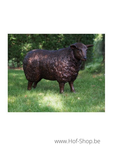 Schaap Ooi - bronzen beeld (B73015)