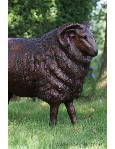 Mouton mâle - statue en bronze (B73013)