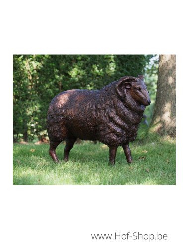 Schaap Ram - bronzen beeld (B73013)