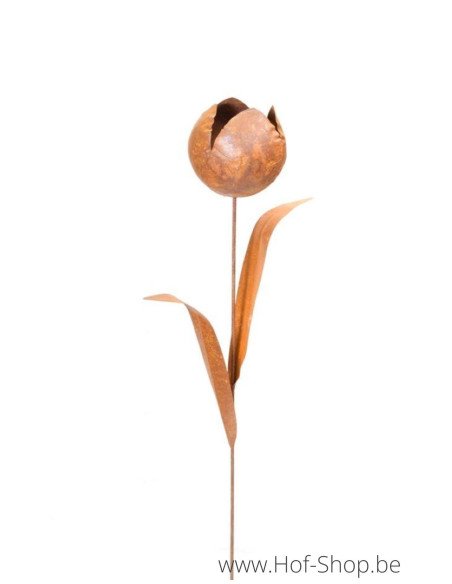 Rose Pivoine - figurine en métal Ecorouille (MD70027)