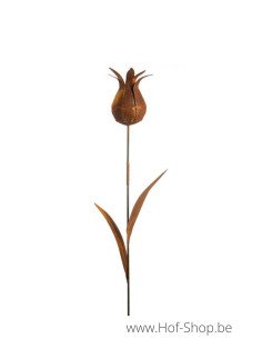 Tuinsteker Wilde Tulp - metalen figuur in ecoroest (MD70036)
