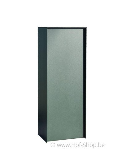 Dropbox Small RAL 6009 Back Door - eSafe pakketbus aluminium