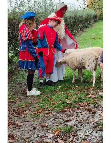 Boites aux lettres Saint Nicolas Hof-Shop 2025