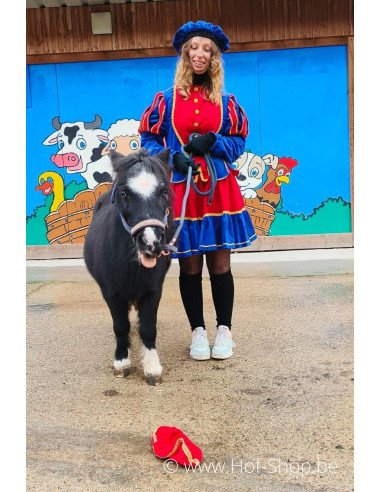 Hoeve op den Mierhoop X Hof-Shop - Sinterklaasbrievenbus Hof-Shop 2024