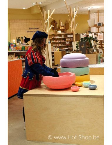 Blabloom X Hof-Shop - Sinterklaasbrievenbus Hof-Shop 2024