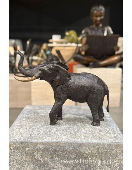 Éléphant 36 cm - statue en bronze (AN1310BR-B)