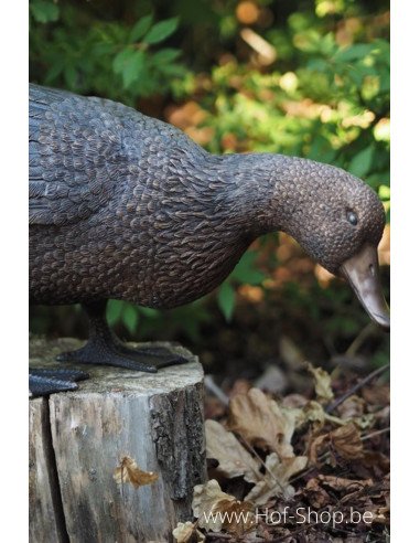 Koppel eenden - bronzen beeld (GA1267BR-B en AN1232BR-B)