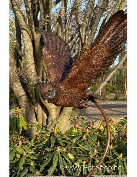 Hibou volant - statue en bronze (AN2209BR-B)