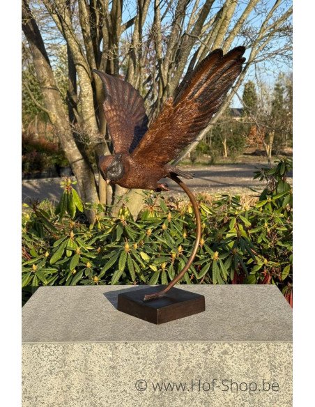 Hibou volant - statue en bronze (AN2209BR-B)