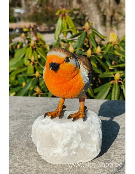 Robin - statue en bronze (BS1543C)