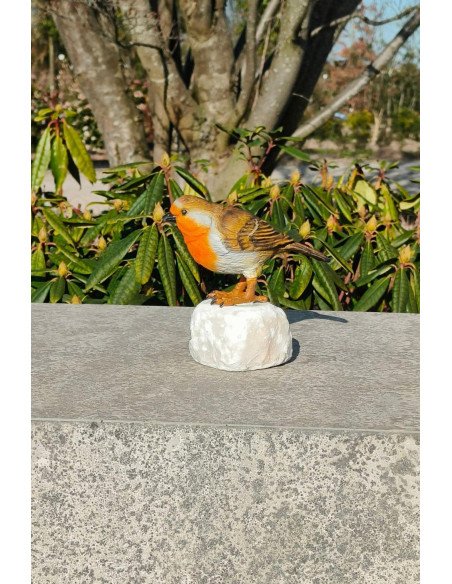 Robin - statue en bronze (BS1543C)