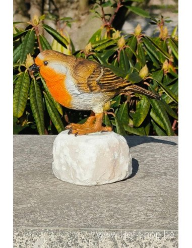 Robin - statue en bronze (BS1543C)