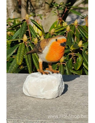 Robin - statue en bronze (BS1543C)