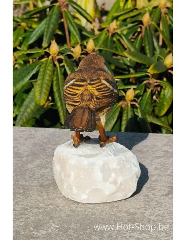 Robin - statue en bronze (BS1543C)