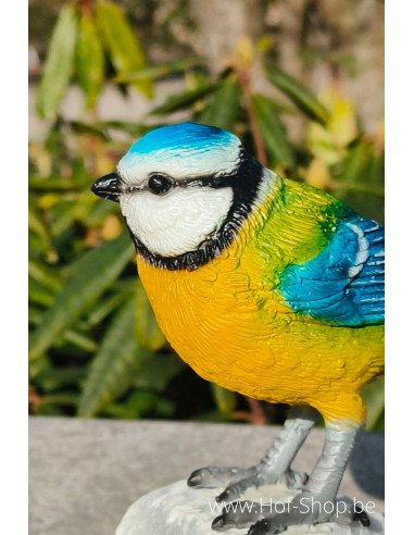 Pimpelmees gekleurd - bronzen beeld (BS1544C)