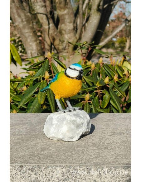 Pimpelmees gekleurd - bronzen beeld (BS1544C)