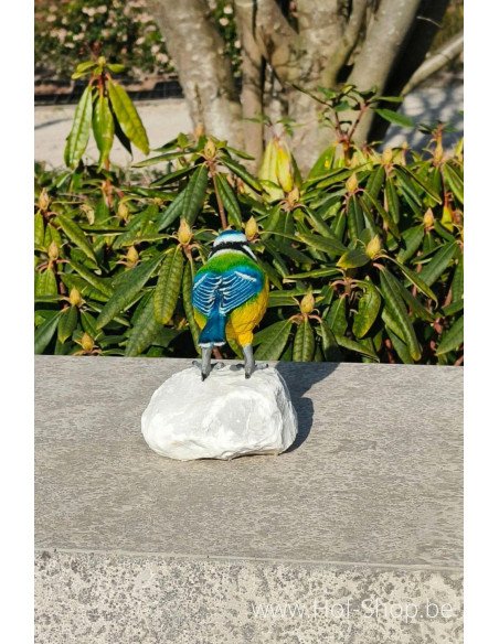 Pimpelmees gekleurd - bronzen beeld (BS1544C)