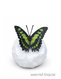 Wings in bronze malachite - statue en bronze (BS1549C)