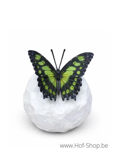 Wings in bronze malachite - statue en bronze (BS1549C)