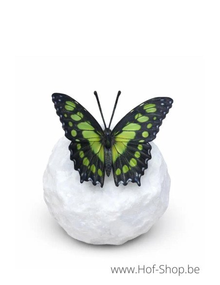 Wings in bronze malachite - statue en bronze (BS1549C)