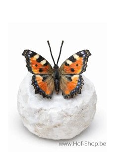 Wings in bronze dagpauwoog - bronzen beeld (BS1546C)