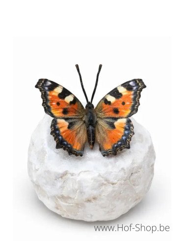 Wings in bronze dagpauwoog - bronzen beeld (BS1546C)