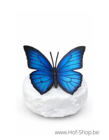 Wings in bronze morphovlinder - bronzen beeld (BS1545C)