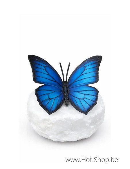 Wings in bronze morphovlinder - bronzen beeld (BS1545C)