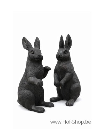 Couple de lapins - statue en bronze (B1558)