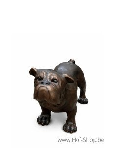 Bouledogue - statue en bronze (B81167)